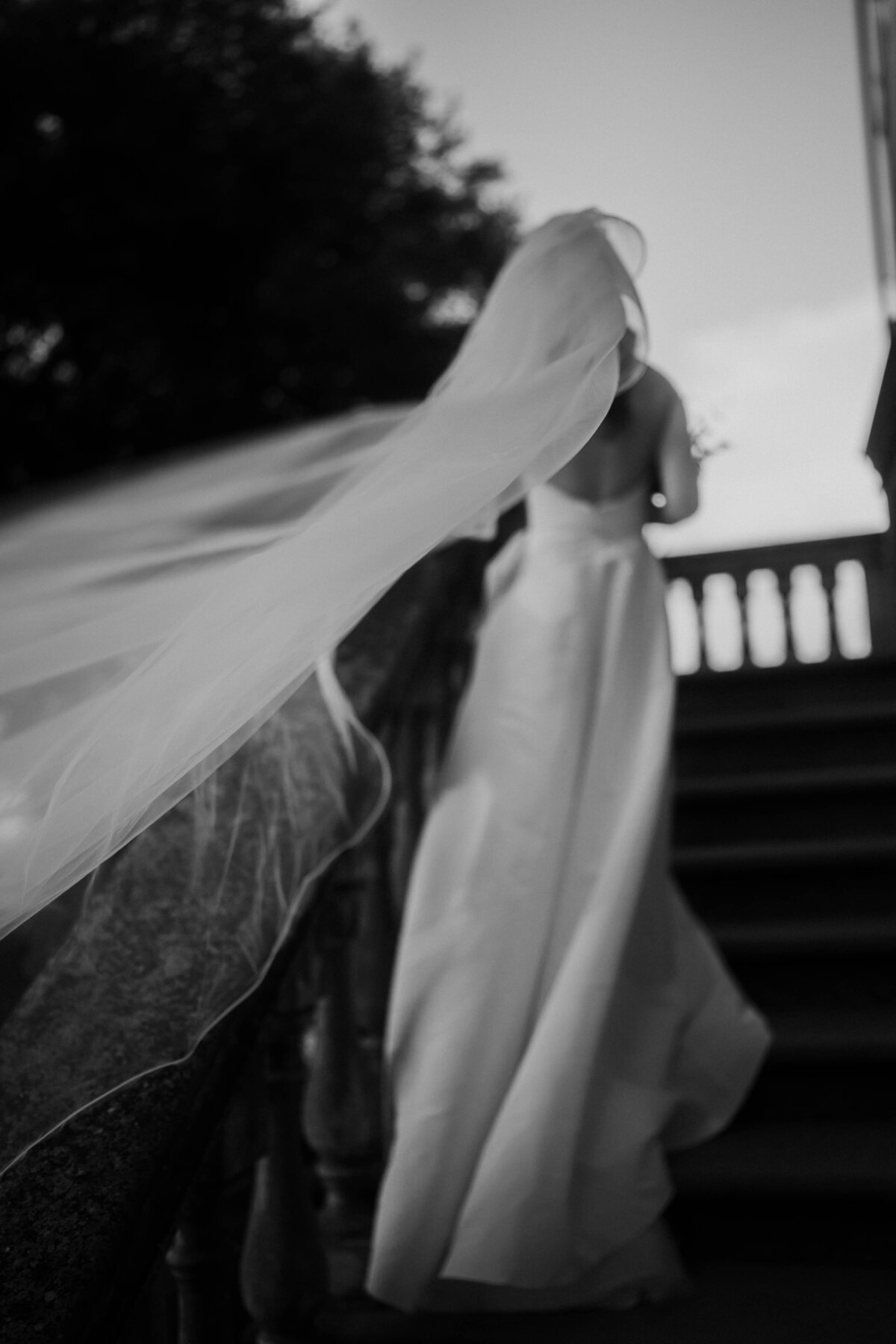 modern wedding photography bride with the veil at villa mangiacane