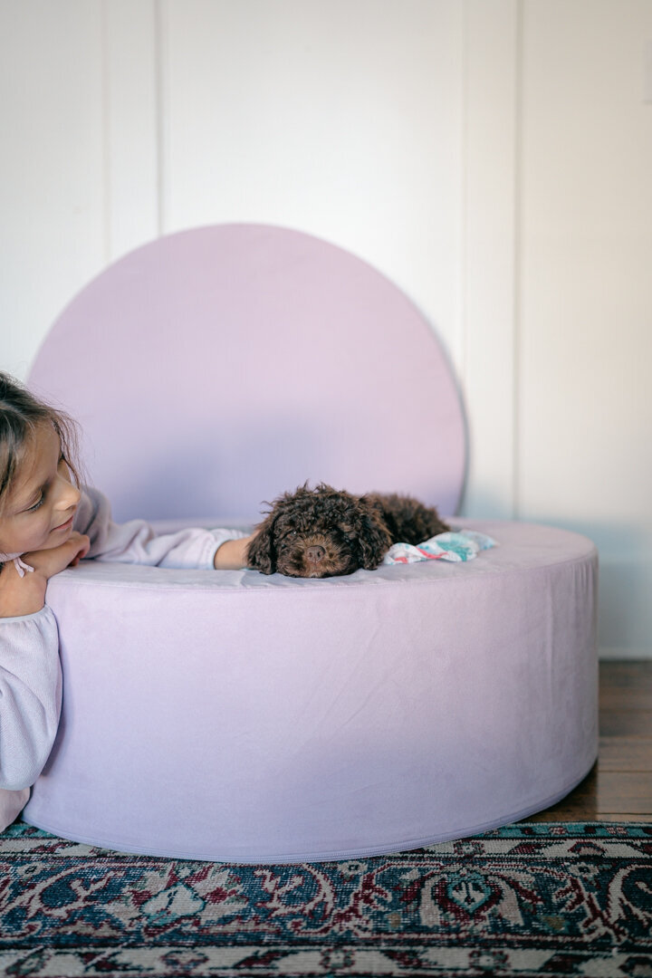 cute-puppy-supplies-7401809