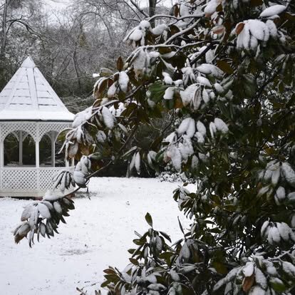 Amy McCown snowy gazebo
