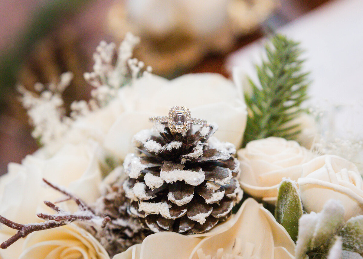 western_ma_wedding_photographer_5