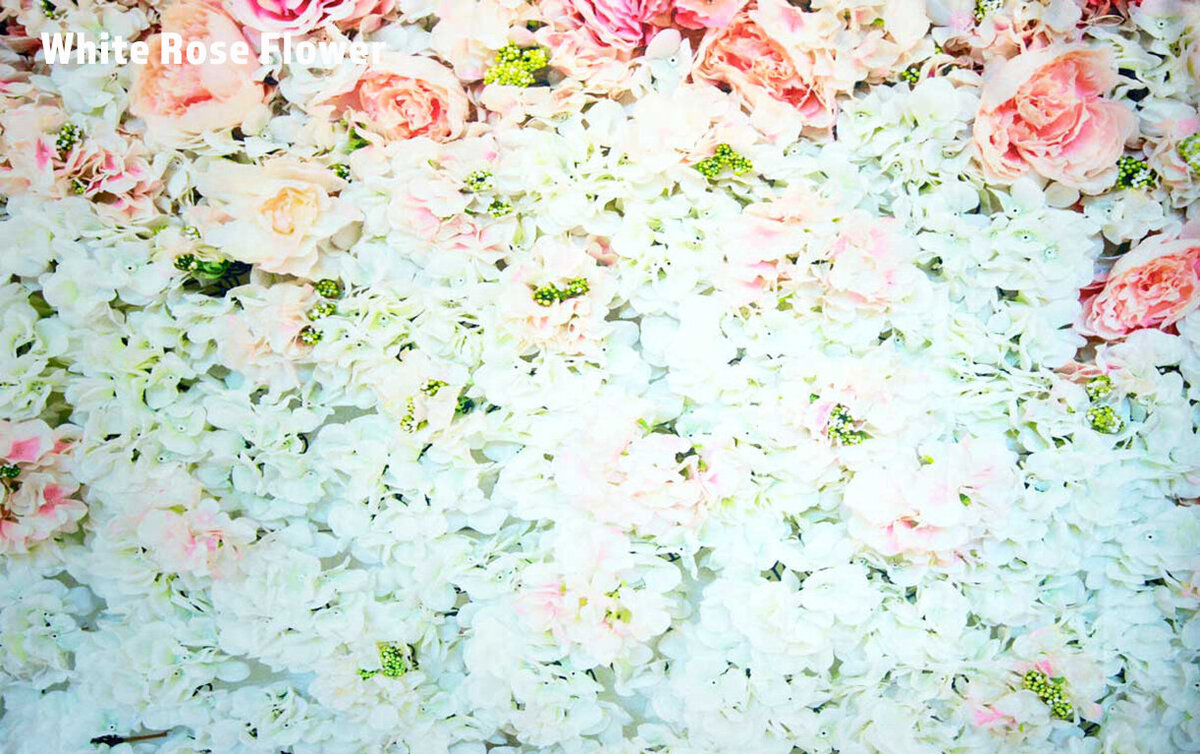fabric printed backdrop with white and rose flowers