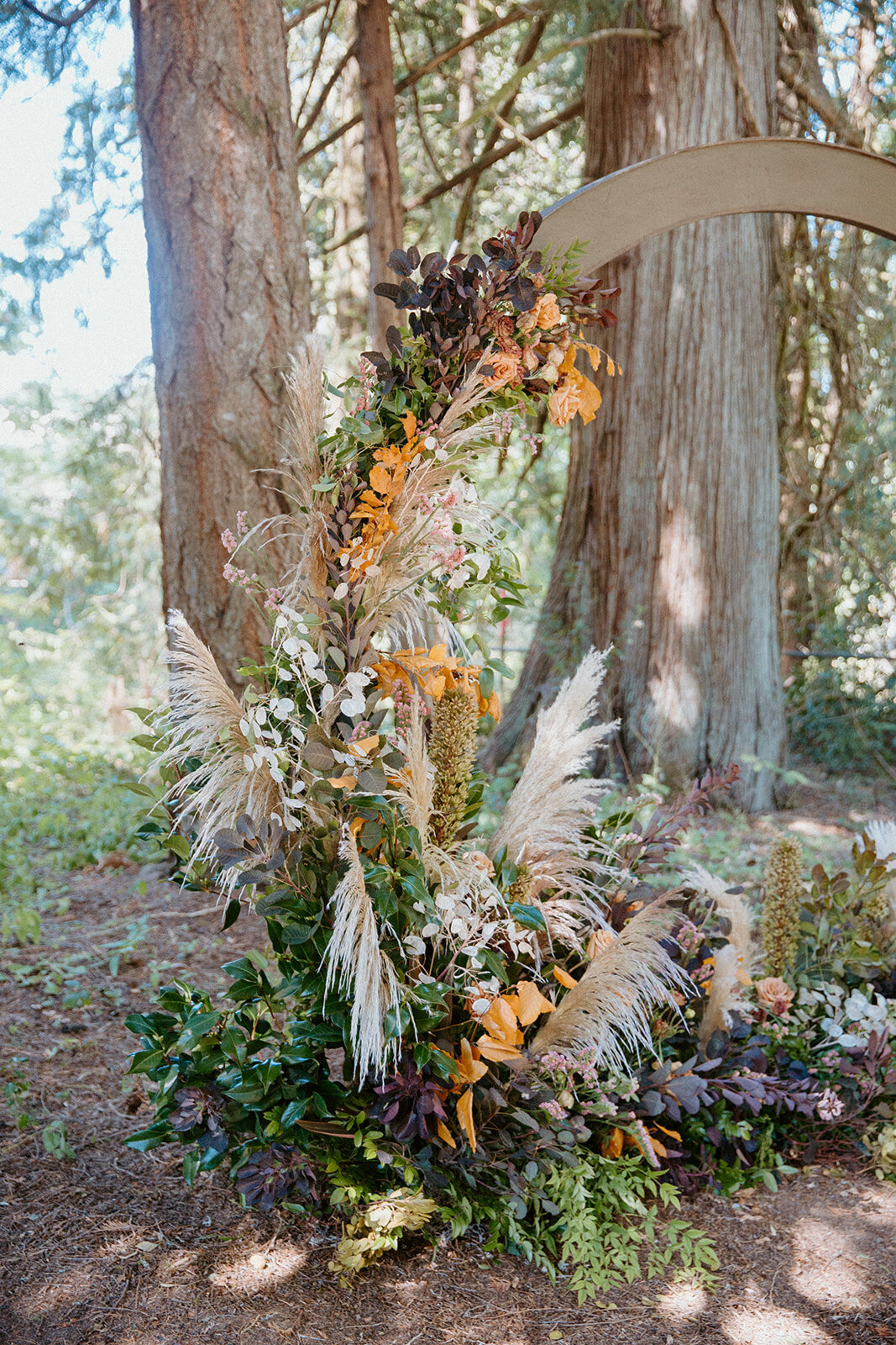 Linda & Ryan (17 of 509)