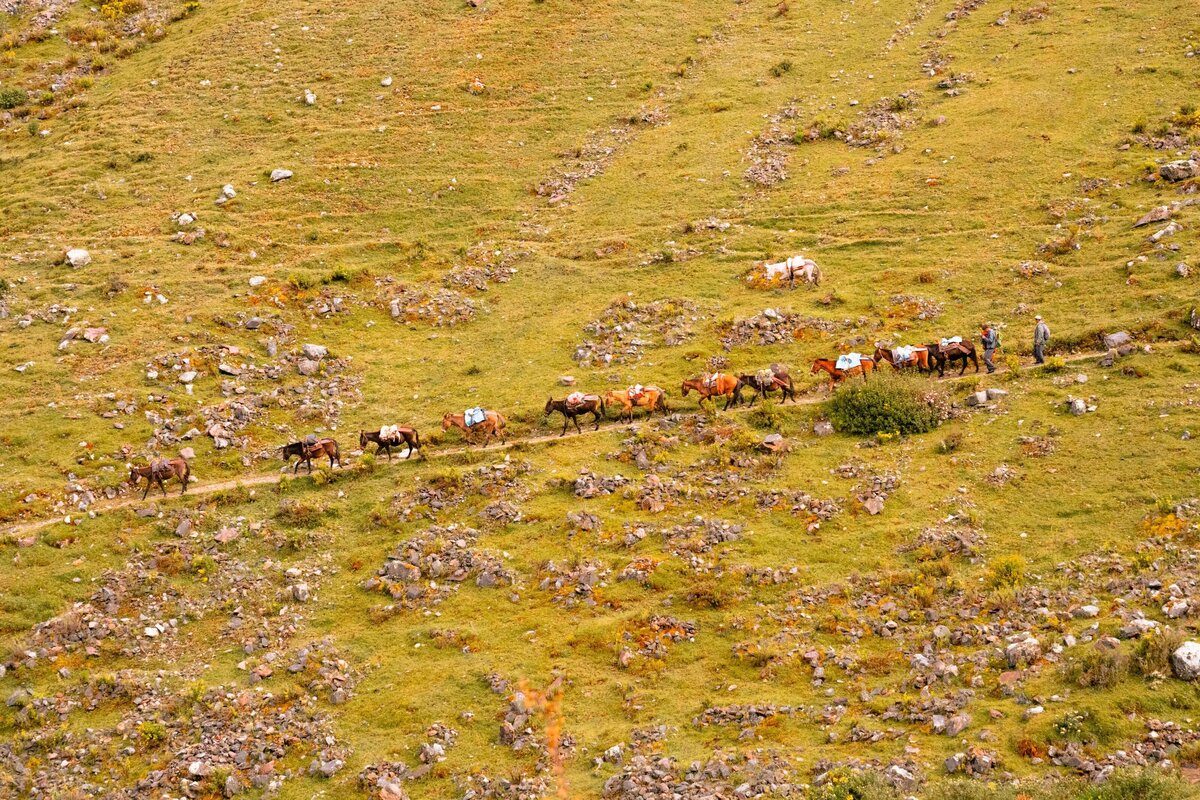 meredith-ewenson-salkantay-trek-peru-legit-trips-horses-