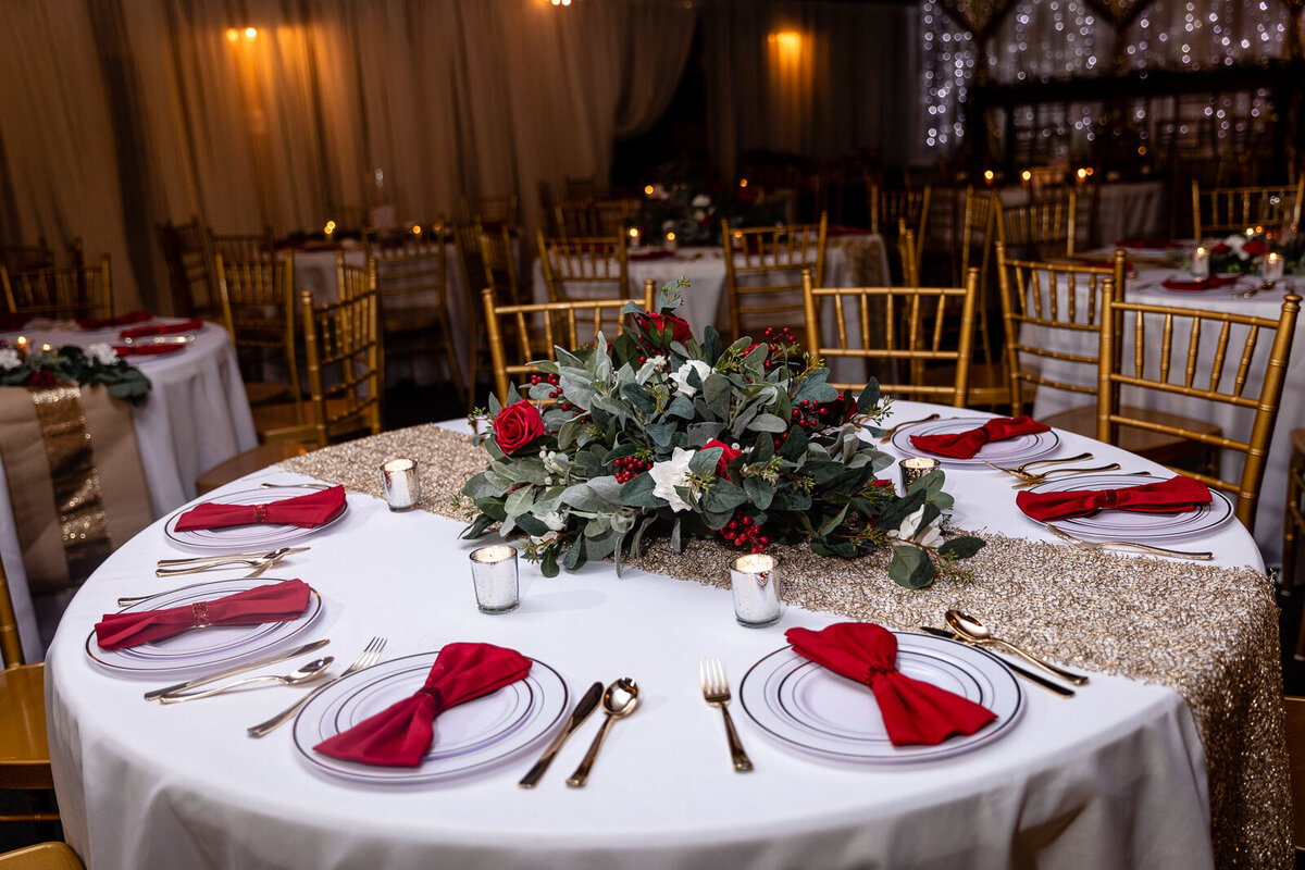 Weddding-Photographer-Illinois-Indiana-65