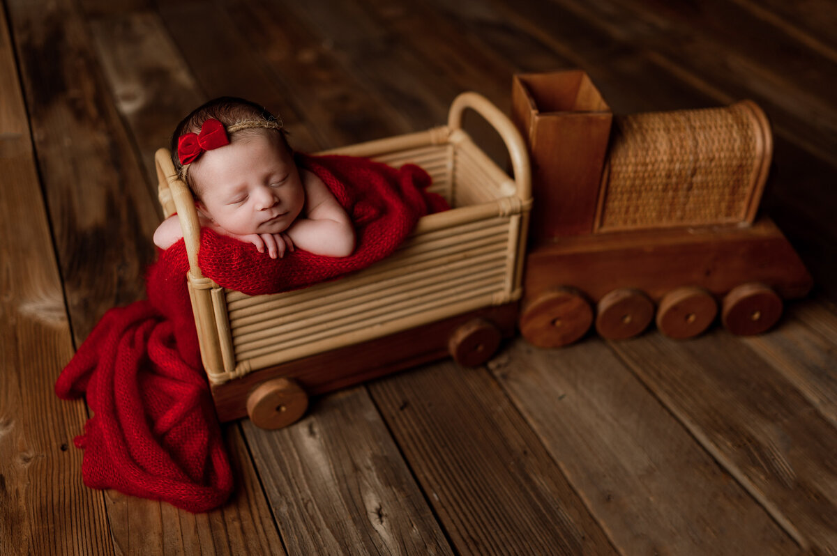 newborn photography with train