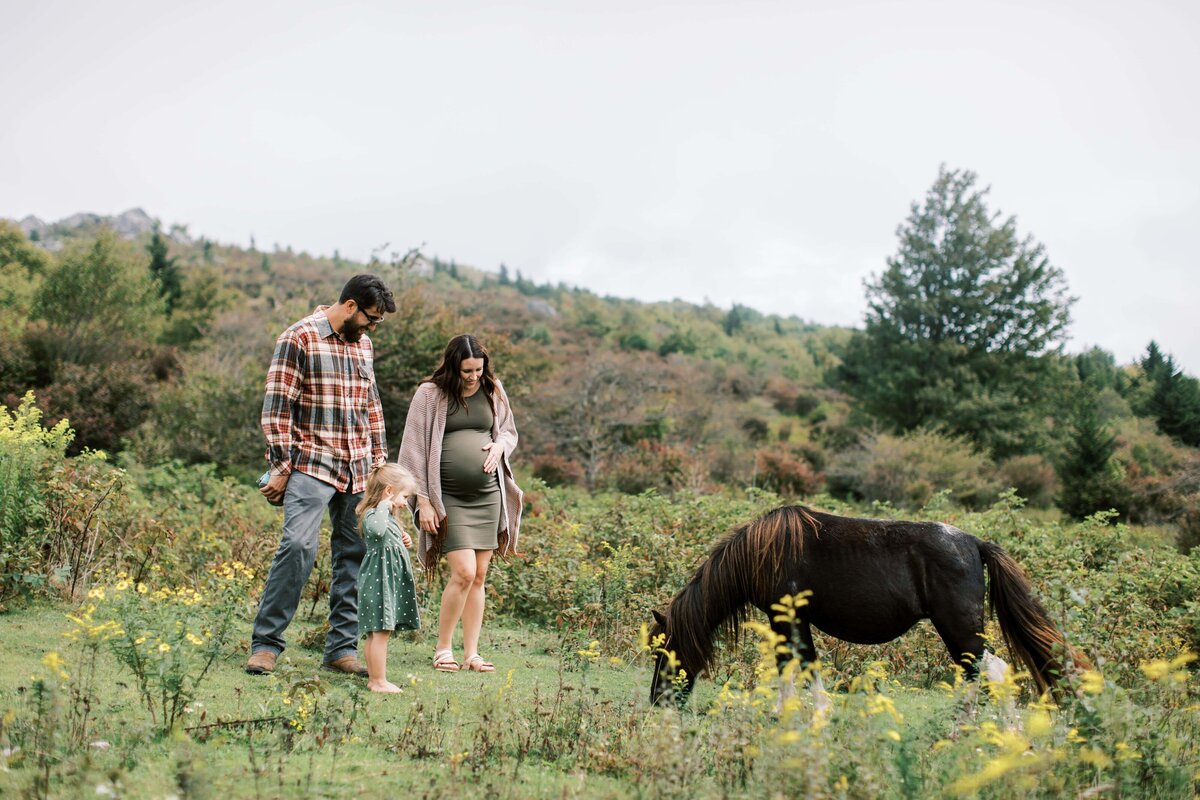 Danielle-Defayette-Photography-Grayson-Highlands-State-Park-Family-Photos-90_1