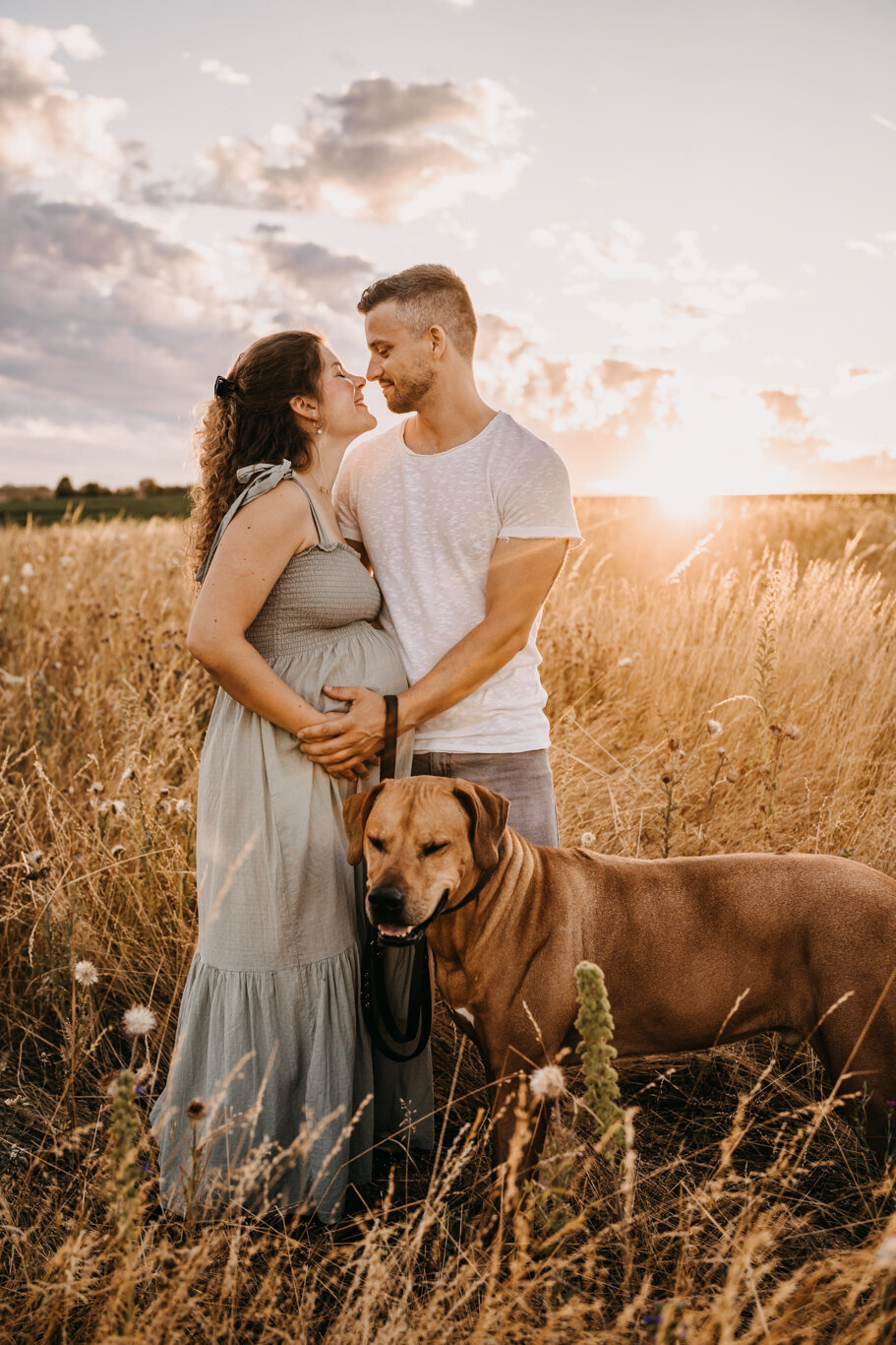 babybauchbilder-mit-hund-19