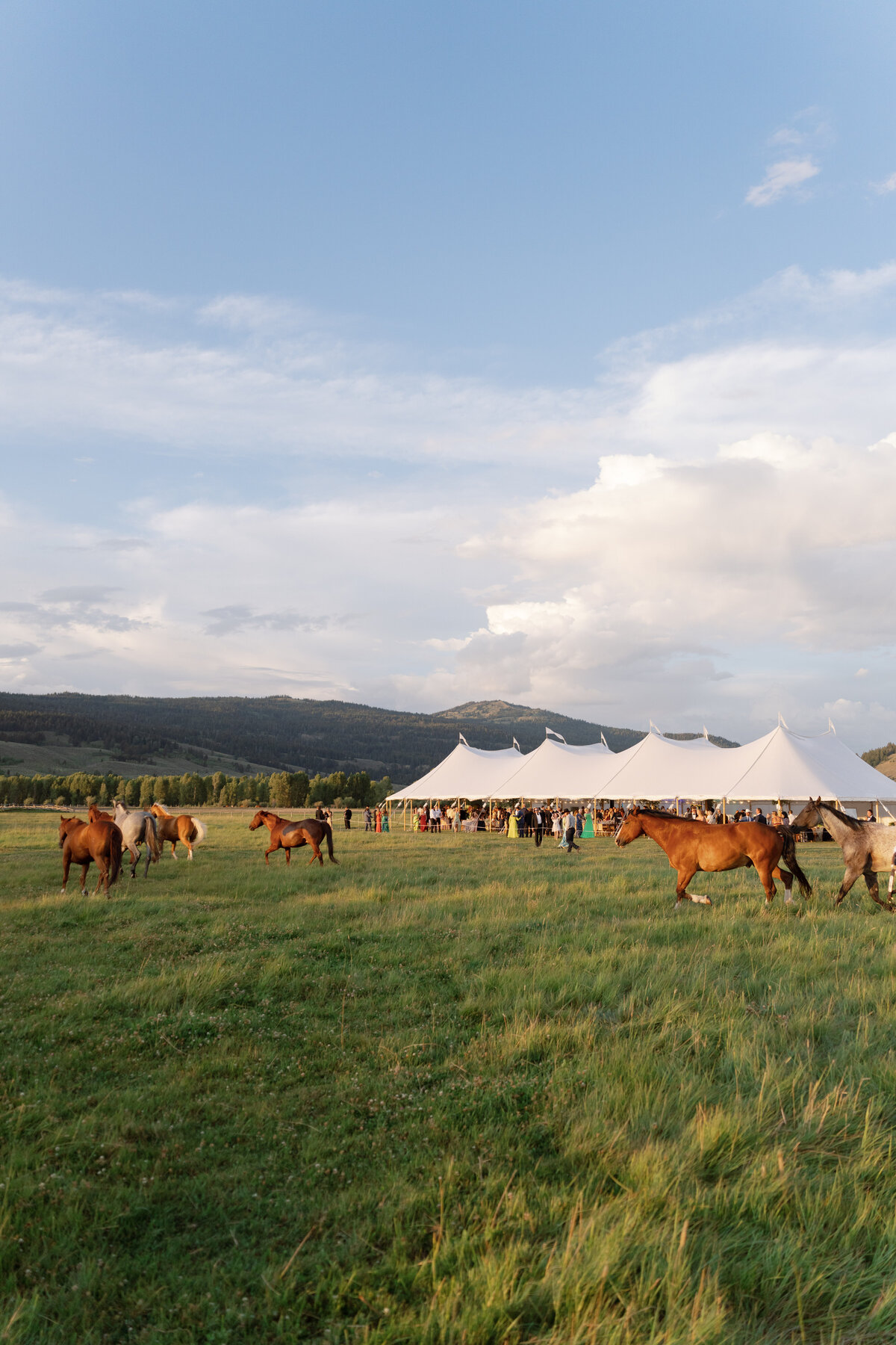 Diamond Cross Ranch Wedding Photos-90