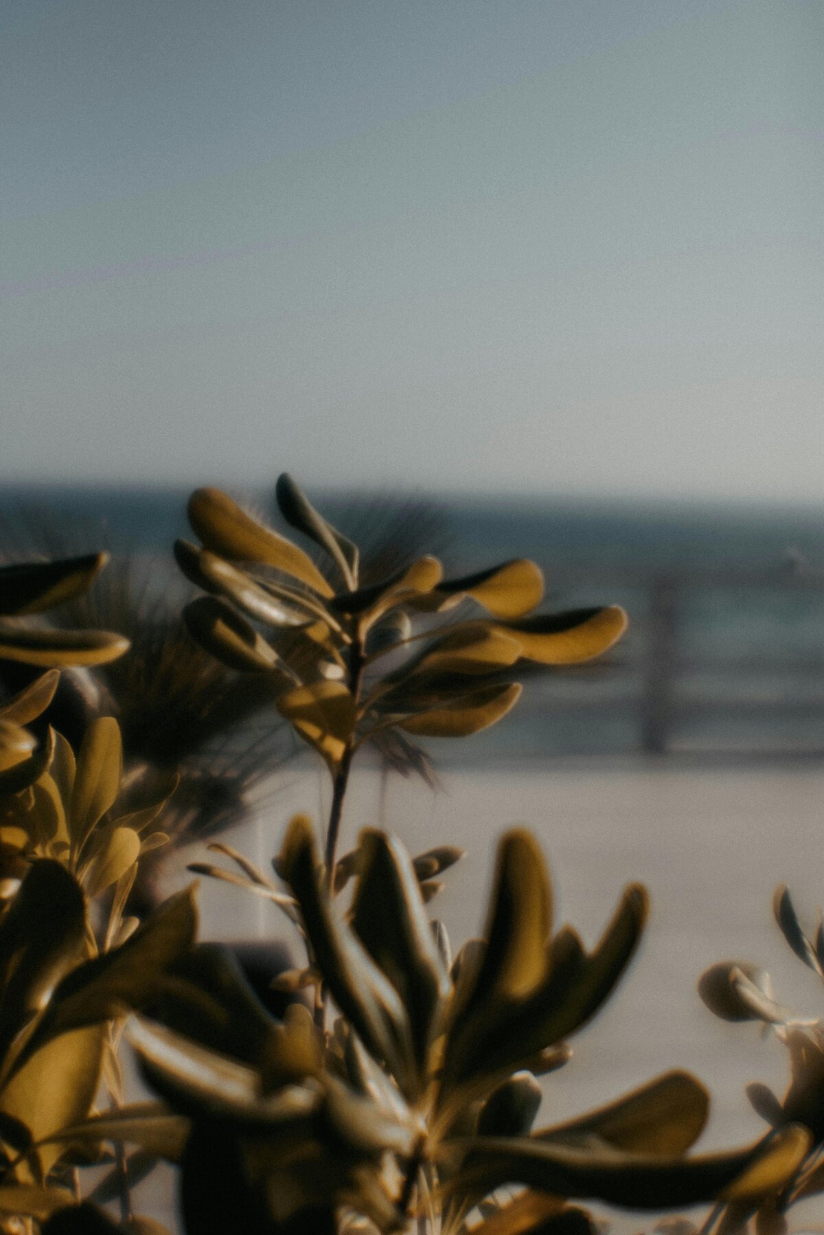 pexels-84330351-15507665