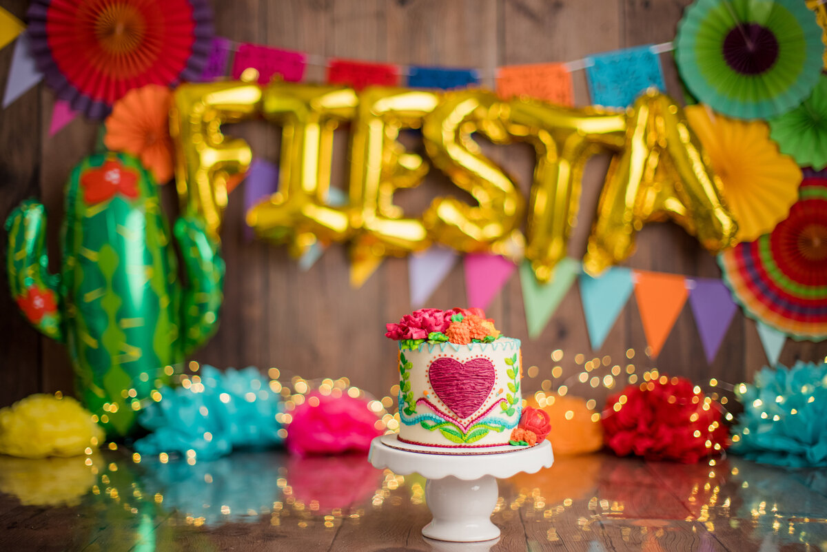 Huntsville AL Cake Smash Photographer