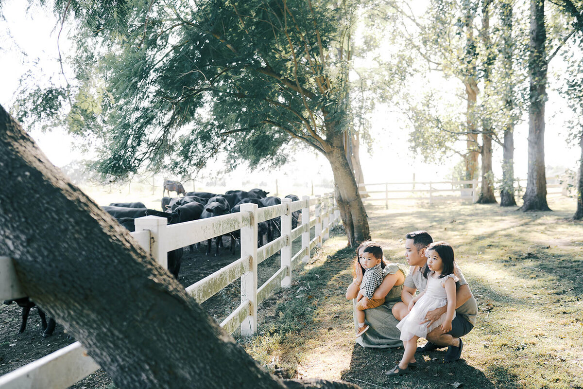 Relaxed-family-photographer-inner-west-sydney-46