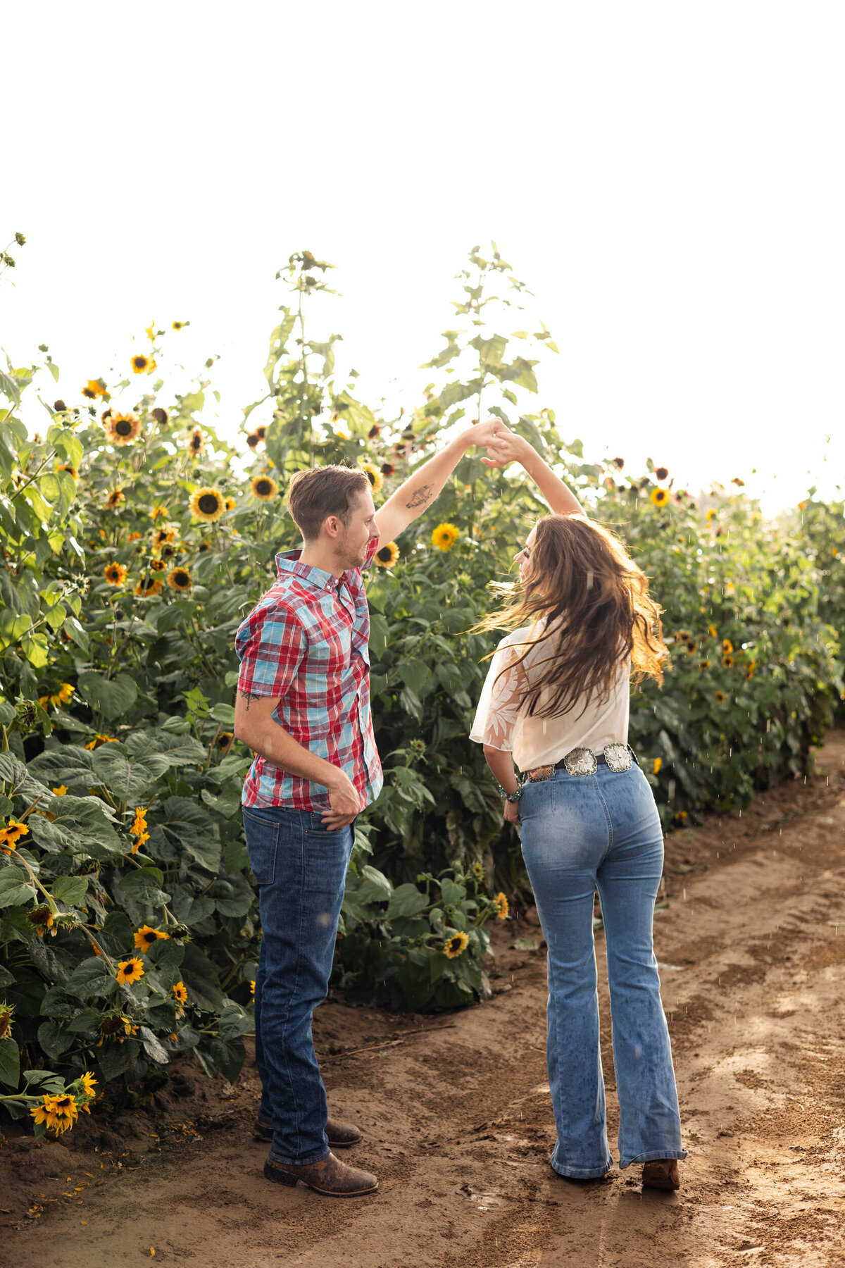 Colorado-sunflower-field-photography-11