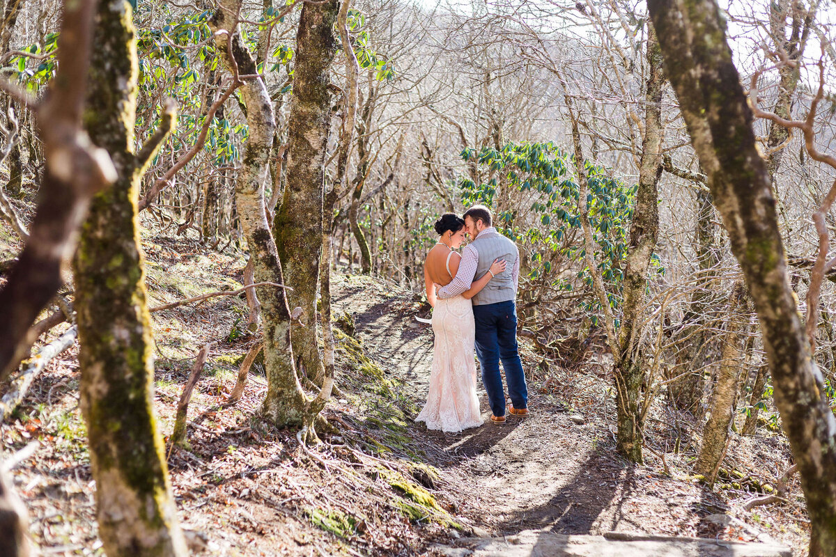 Craggy-Gardens-NC-Elopement-21