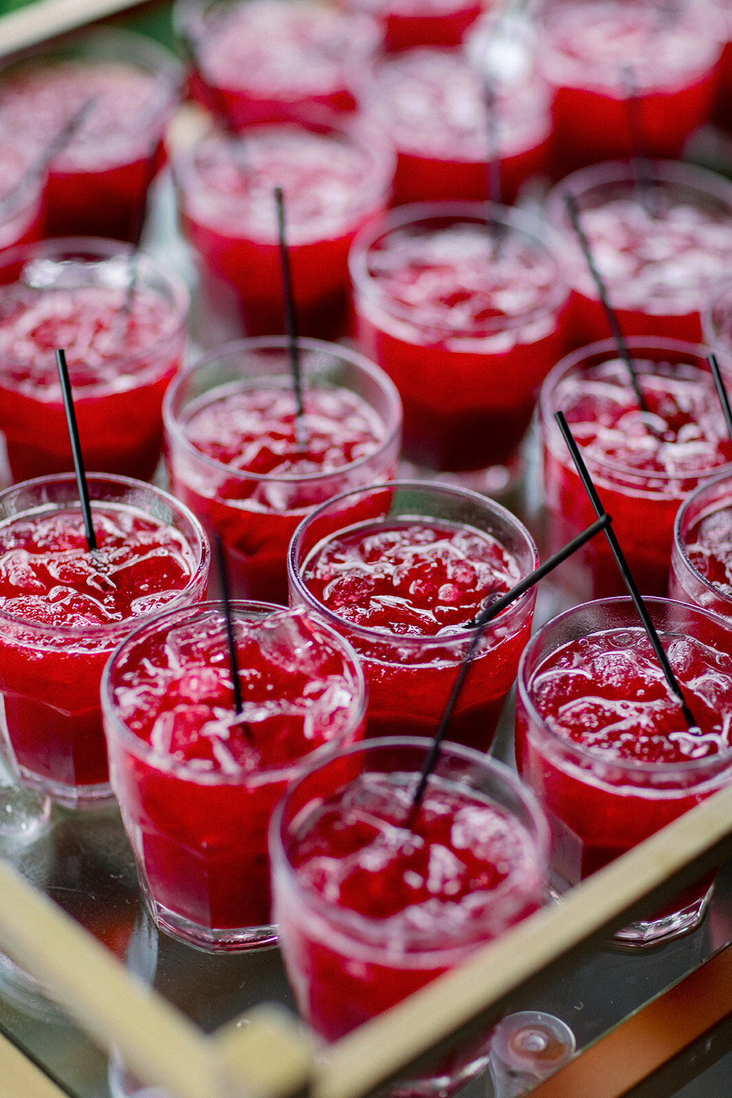 Verve-Event-Co-Lake-House-on-Canandaigua-Wedding-Cocktail-Hour-Hudson-Valley-Wedding-Planner-Catskills-Wedding-Planner (2)