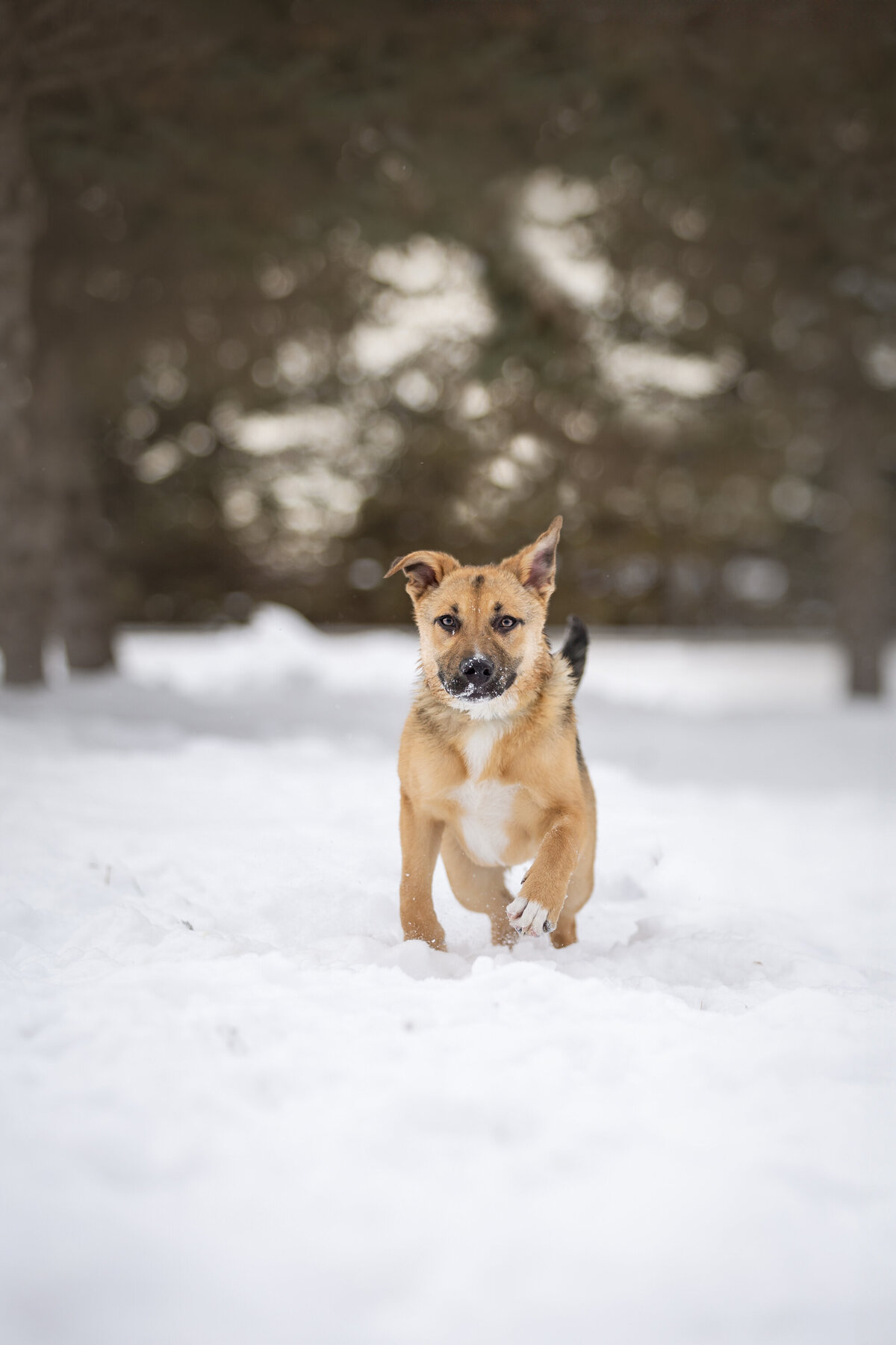 20250215-8V5A6320-Edit