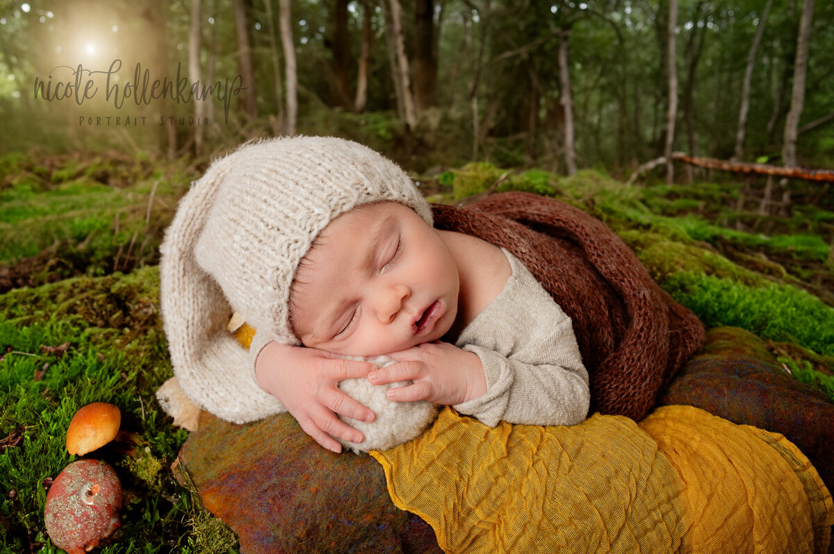 Central Minnesota Newborn Photographer -  Nicole Hollenkamp - Princeton MN, St Cloud Mn