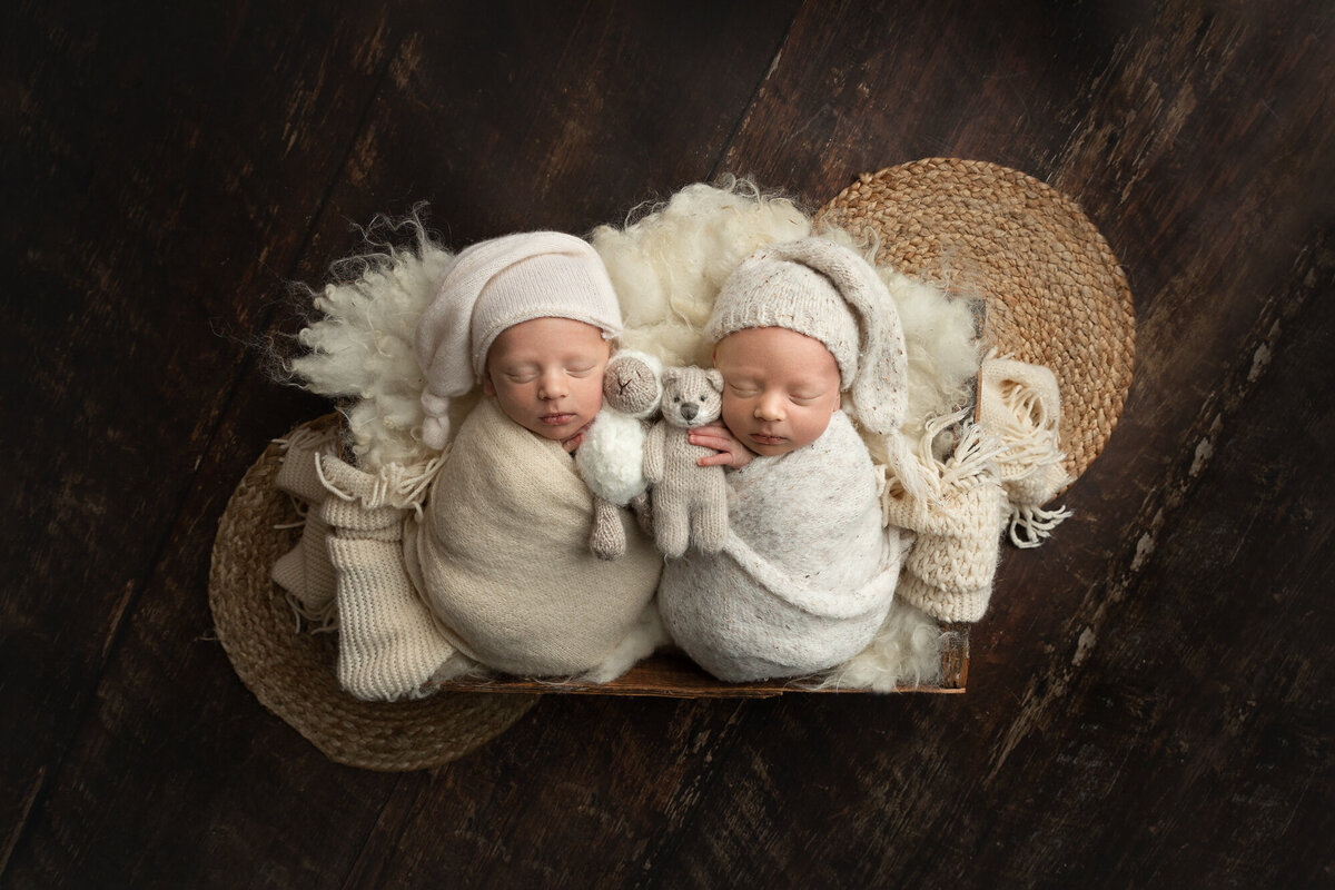 best-columbus-ohio-and-hilliard-dublin-newborn-baby-photographer-twins-identical-twin-brothers-amanda-estep-photography