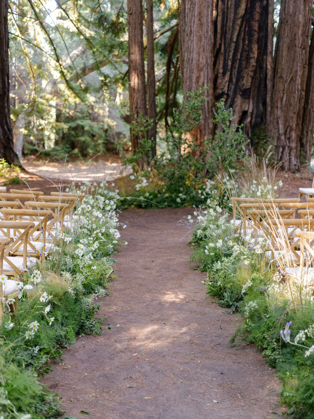 00278-Sequoia+AlexWedding-2