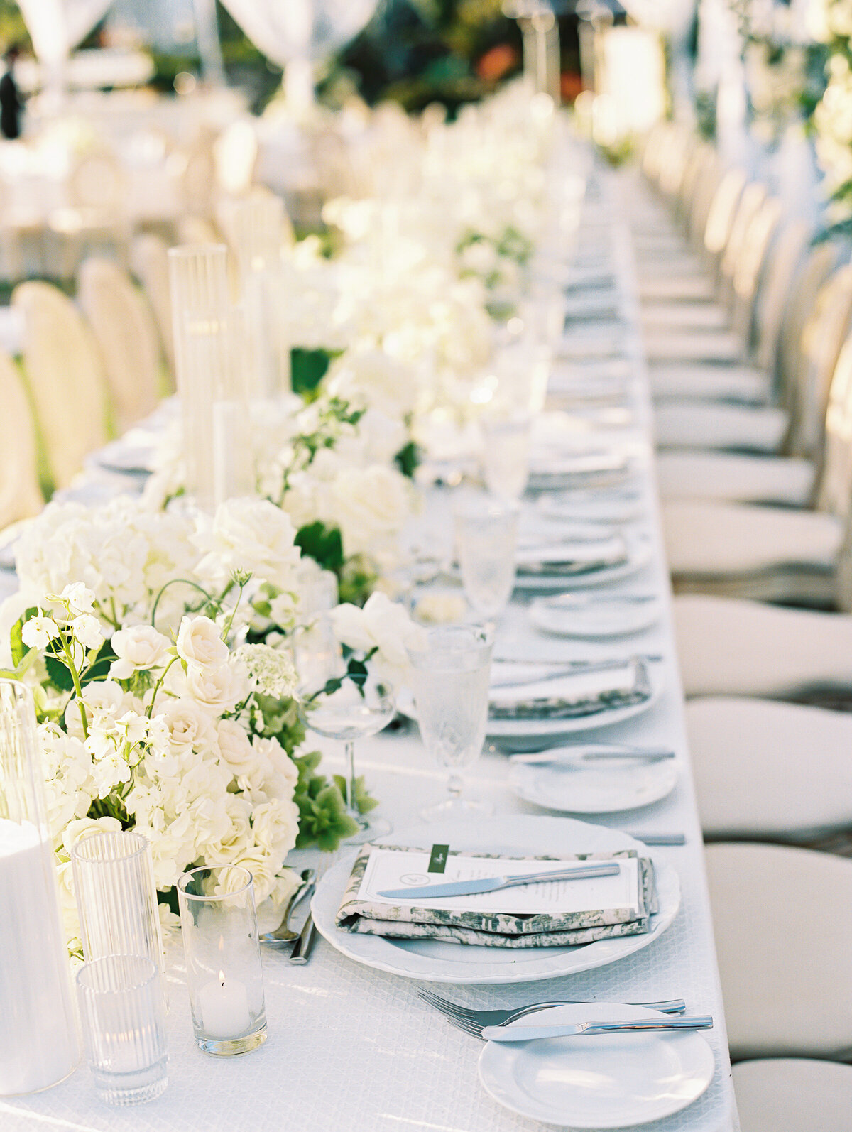 Reception(24)