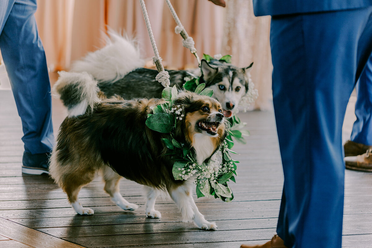 JKwedding-559_websize