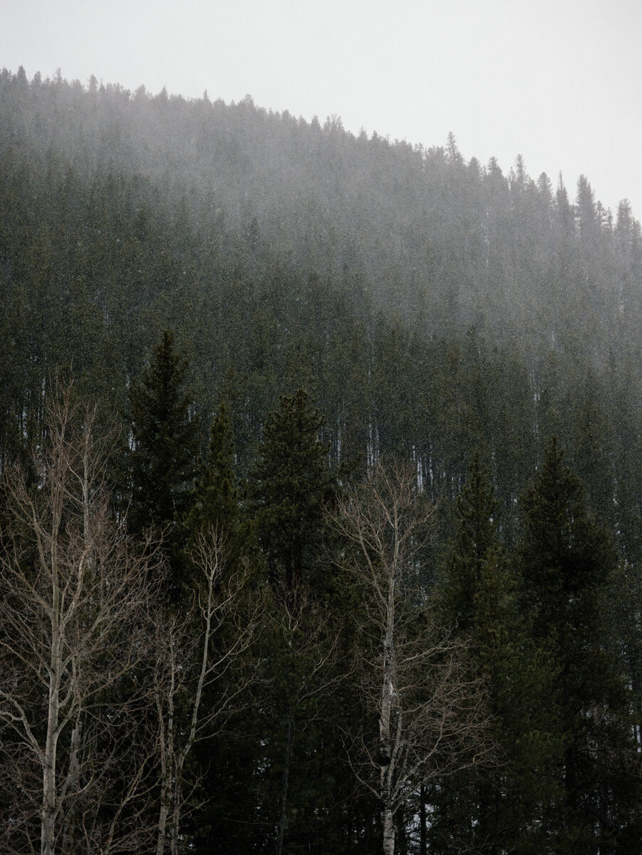 leila-brewster-photography-crested-butte-0122