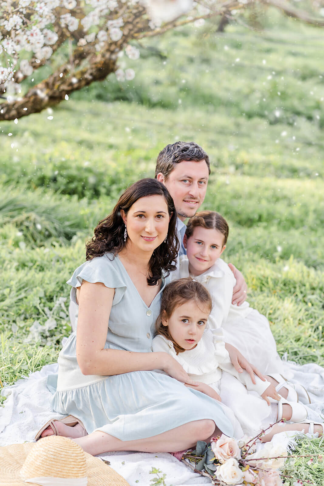 Serene, relaxed family portrait of a young family in Brisbane's plum blossom orchard.