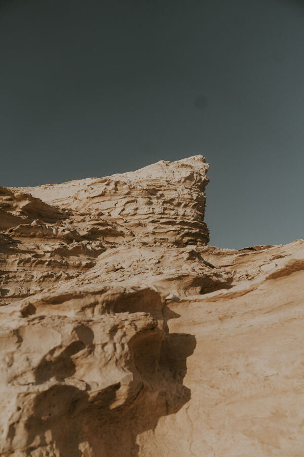 MTB06722