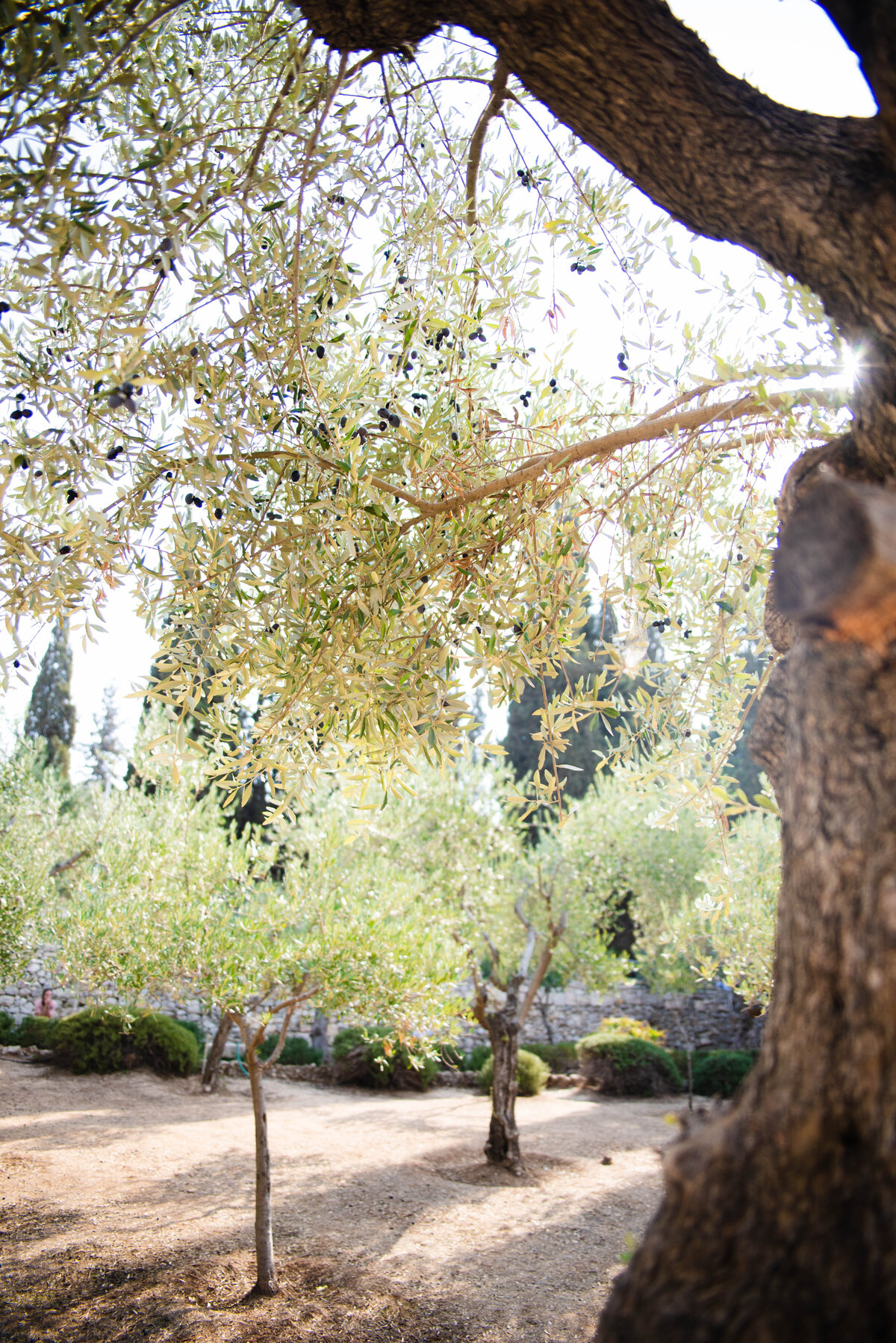 Israel_2019_-218