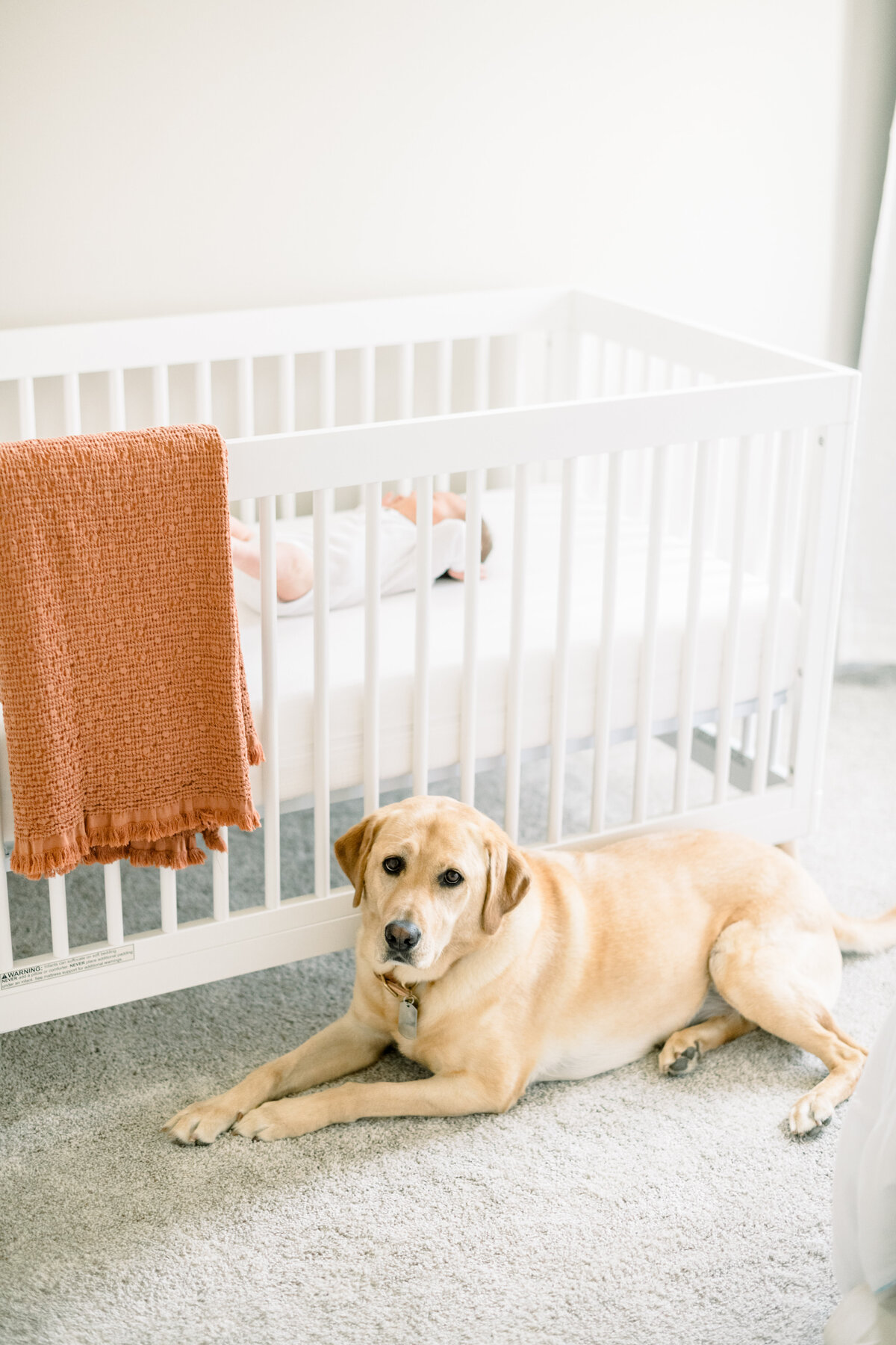 Clell Newborn _ Bloom Photography-37