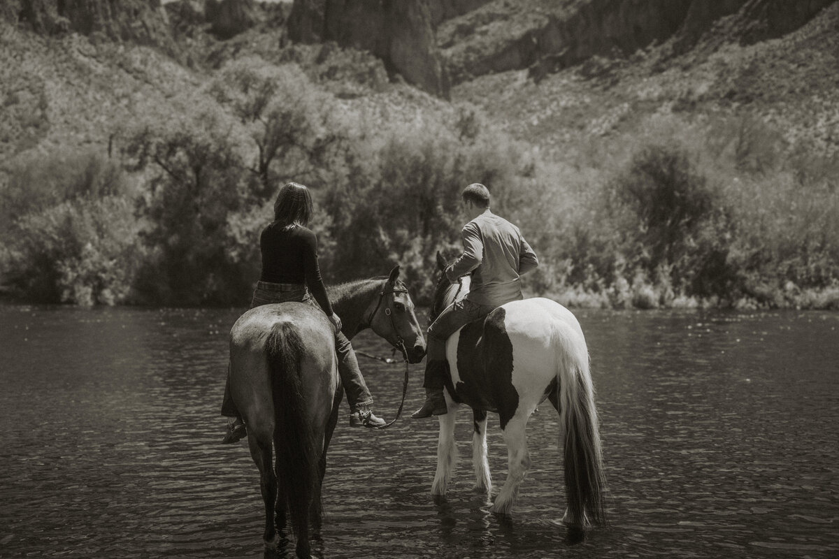 HARRIAGA_horse-148