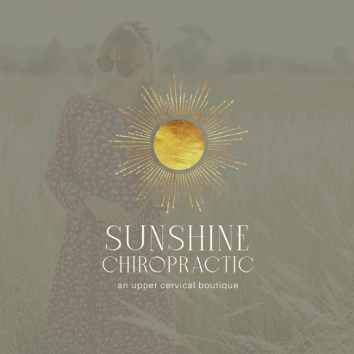 Custom Chiropractic Logo Design--HP