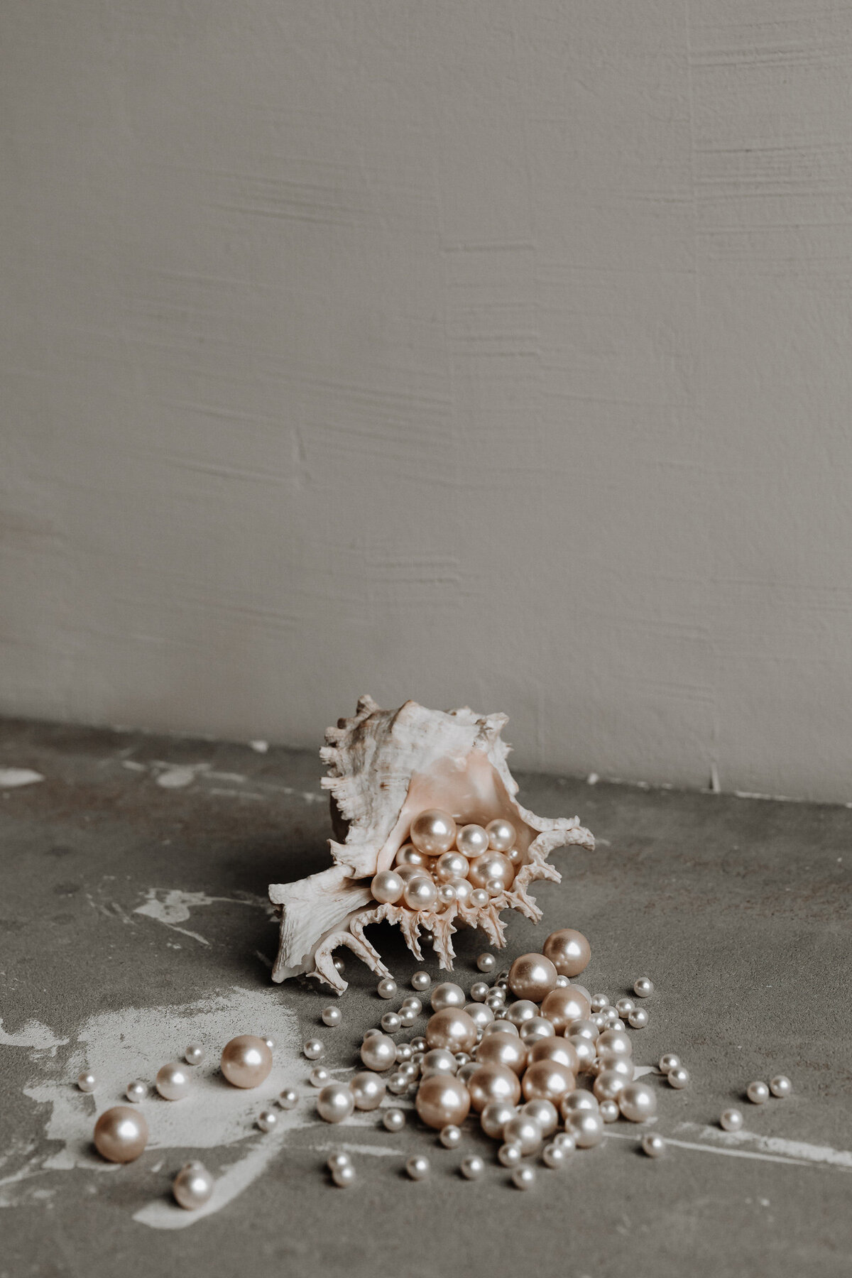 kaboompics_A large shell with pearls spilling out of it
