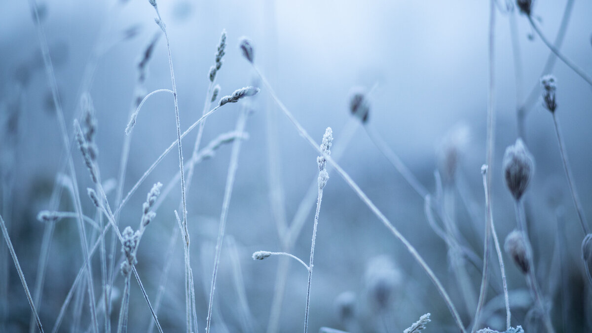 fine_art_photographer _019