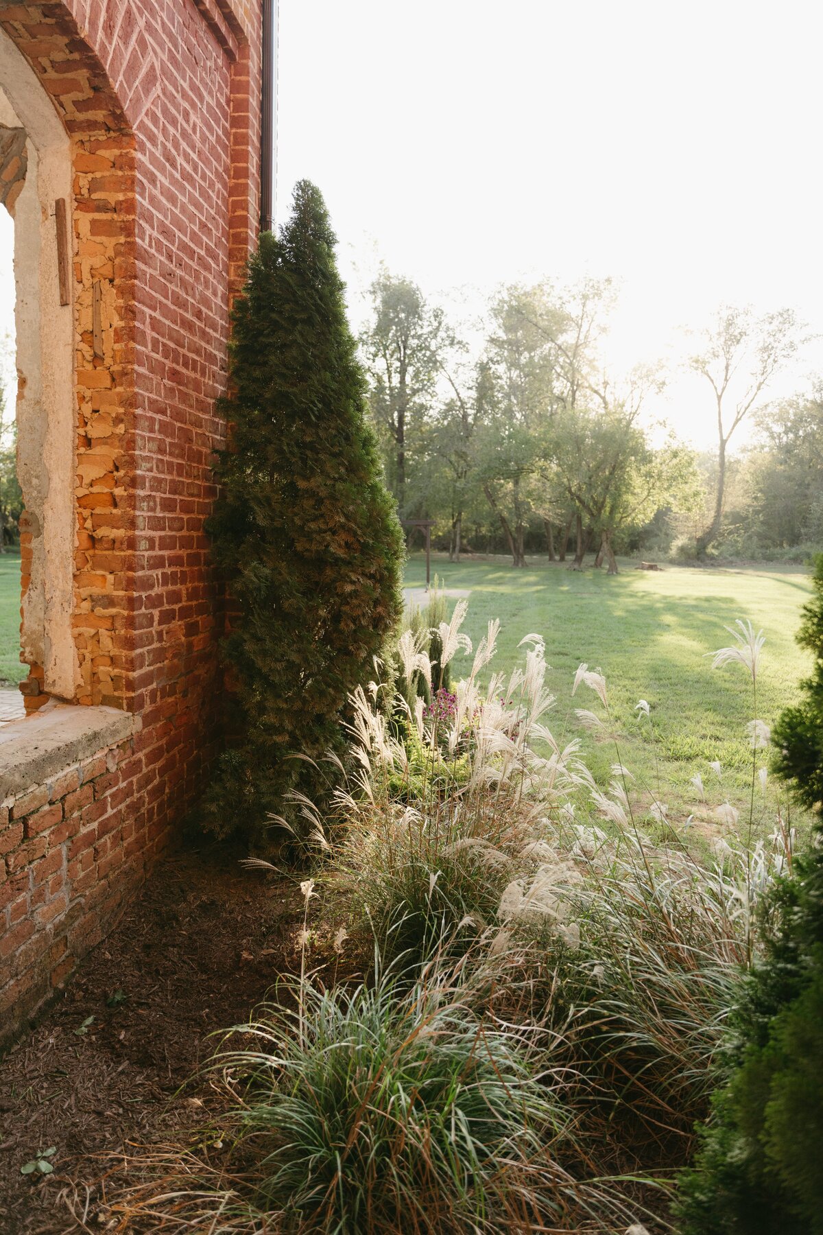 DSC06674
