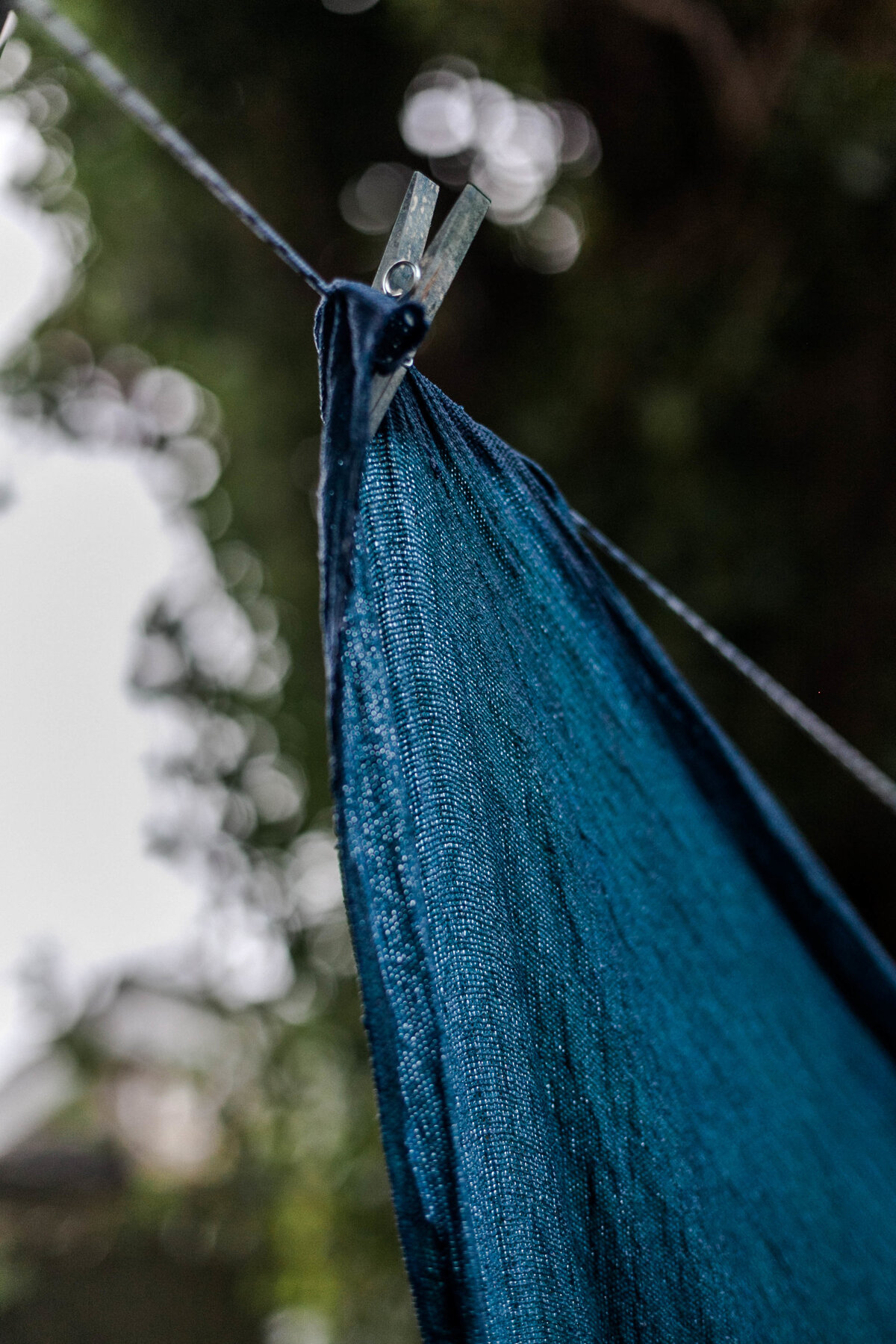 indigo plant dye