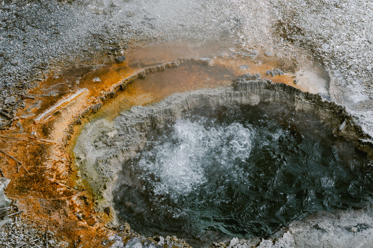 2022.Yellowstone.Roses.3.0-29