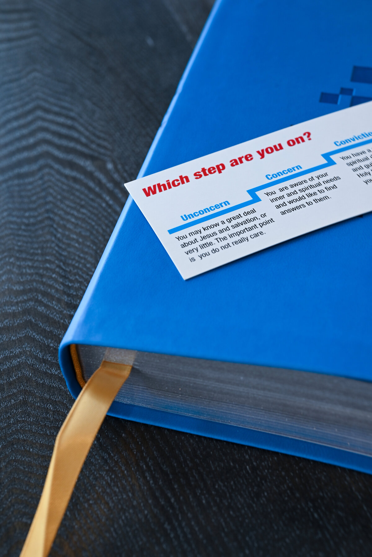 SUTL Photoshoot August 2025-97