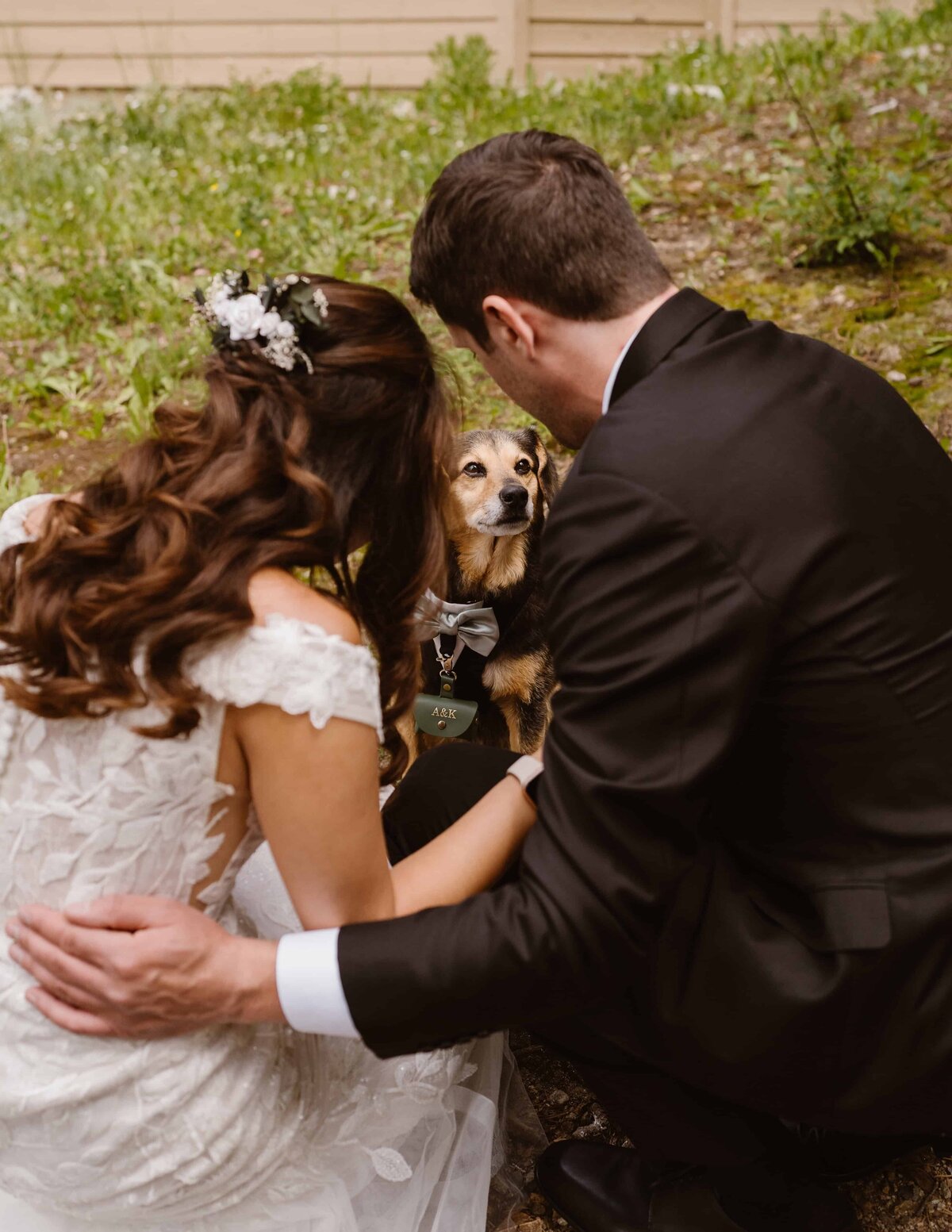 Bride and groom crouch to pet their dog wearing a bow tie during their Colorado elopement.