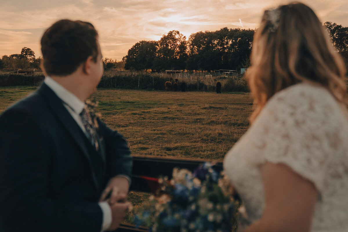 Valley View Alpacas Caley Photography Essex Wedding Photography -12