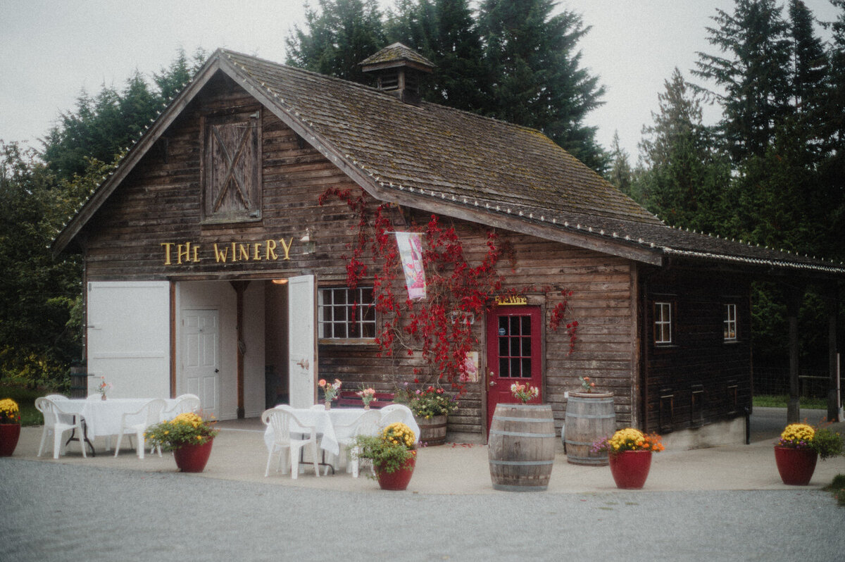 Stratling Vineyard-33