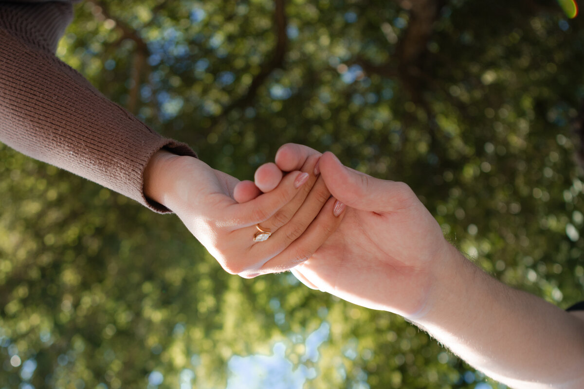Jovanna G Photography. Classic, sophisticated Wedding Photos. Soft romantic engagement photos. Soft romantic WeddingPhotos. Sophisticated Wedding Photographer. Professional Wedding Photographer. Destination Wedding Photographer. Luxury Wedding photographer. Traveling Wedding Photographer. AZ Wedding Photographer. Gilbert AZ Wedding Photographer. Queen Creek Wedding Photographer. Phoenix Wedding Photographer. Scottsdale Wedding Photographer. Flagstaff Wedding Photographer. SoCal Wedding Photographer. California Wedding Photographer. Northern California Wedding Photographer. Southern California Wedding Photographer. San Francisco Wedding Photographer. Bay Area Wedding Photographer. San Jose Wedding Photographer. Golden Gate Bridge Wedding Photographer. Beach Lover Wedding Photographer. Palace of the Fine Arts Wedding Photographer. Ocean Lover. I love California. Orange County Wedding Photographer. Newport Beach Couples Photographer. Newport Beach Wedding Photographer. Laguna Beach Couples Beach Engagement Photographer. Laguna Beach wedding beach photographer. Los Angeles Wedding Photographer. Young and in love engaged couples who live in southern California. Christian Young Couple. Young Engaged Couple. Engaged High School Christian Couple. Christian Values. Young conservative Christian women. Young Conservative Christian men. Young Conservative Christian Couple. Young Christian Couple Engaged in High School. Young Christian College Couple. Lakeside Lovers in the Autumn Sun. David & Grace - engagement photos. Jovanna G Photographer Engagement Photos. Arizona sun shining through autumn trees- engagement. Chandler, AZ Engagement Photos. Chandler, AZ 2026 bride. Chandler, AZ Wedding Photographer. Chandler, AZ Young Engaged Couple. Girl in her 20s. Engaged Arizona Girl in her 20s. Lakeside Engagement photos. AZ Lakeside Engagement Photos. AZ Weeping Willow Lakeside Proposal. Arizona Lakeside Proposal with weeping willow tree. Detail shot of engagement ring on Arizona Lakeside estate. Chandler, AZ Lakeside Estate Proposal Outfit Inspiration.