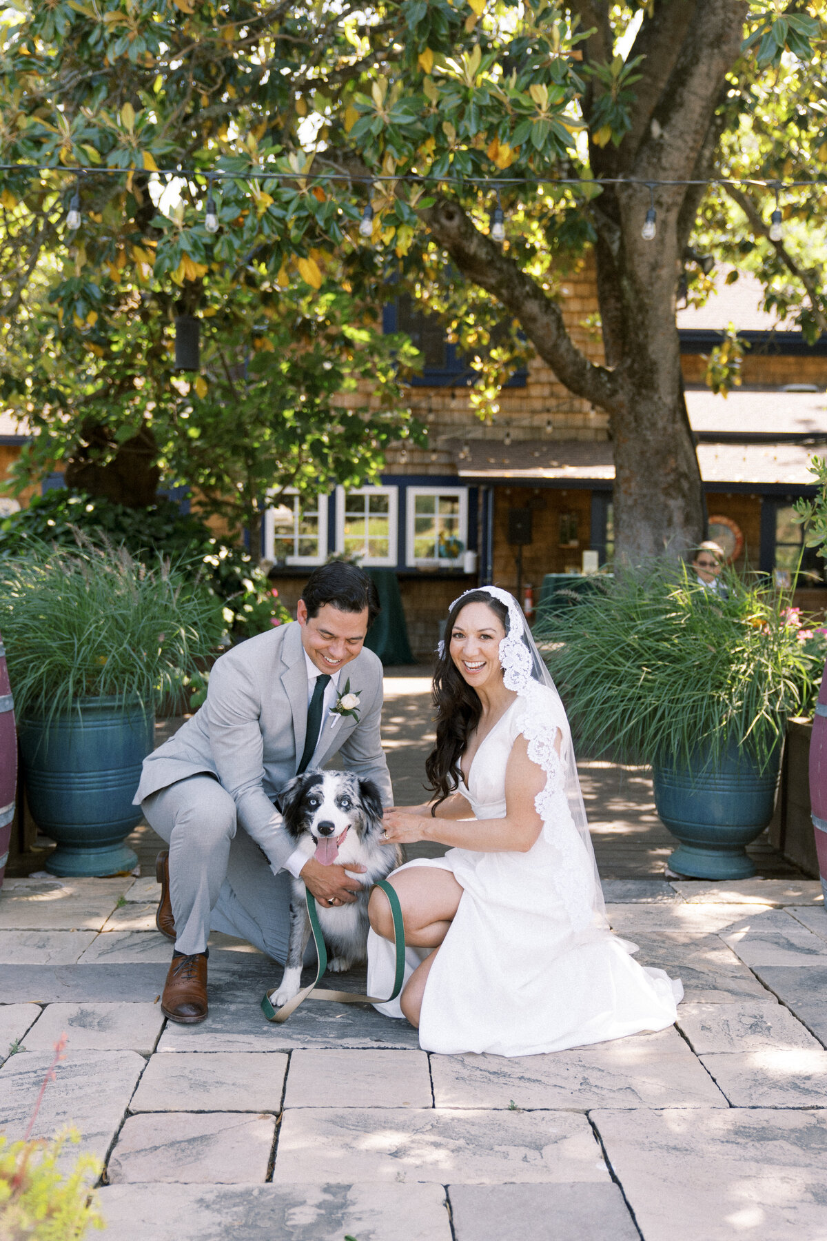 canard winery_sonoma wedding