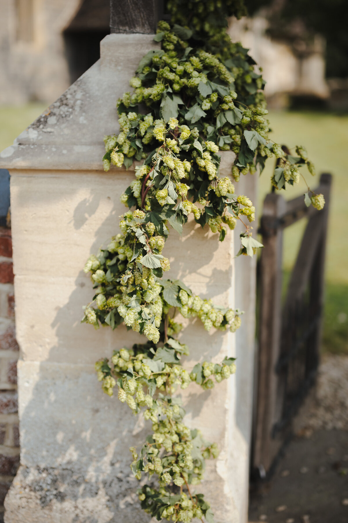 Hop garland over entrance to Church