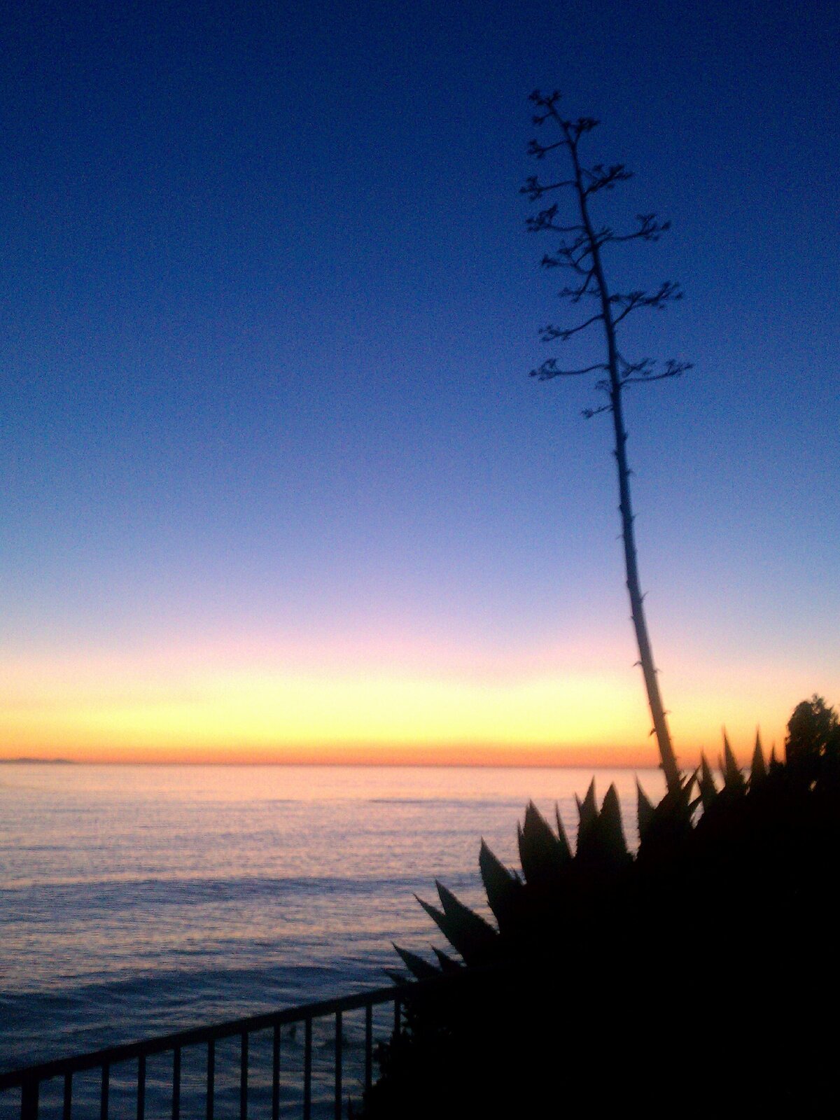 IMAG0154