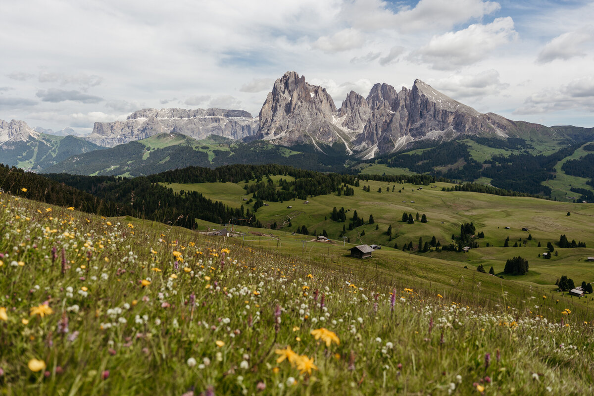Alpe di Siusi mountain meadow view