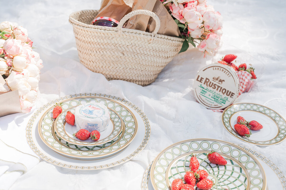 Engagement-shoot-picnic-in-France-1-29
