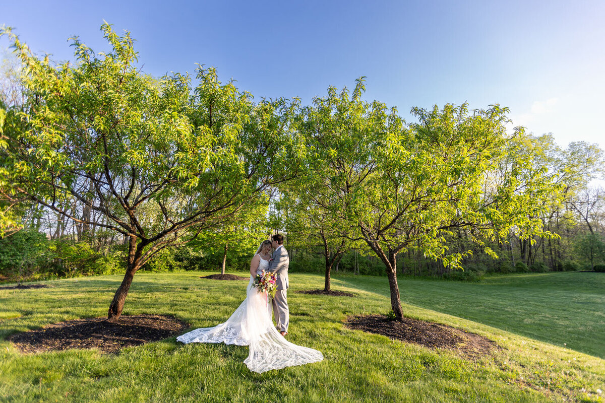 Bride and groom embracing under two trees in a sunlit grassy area