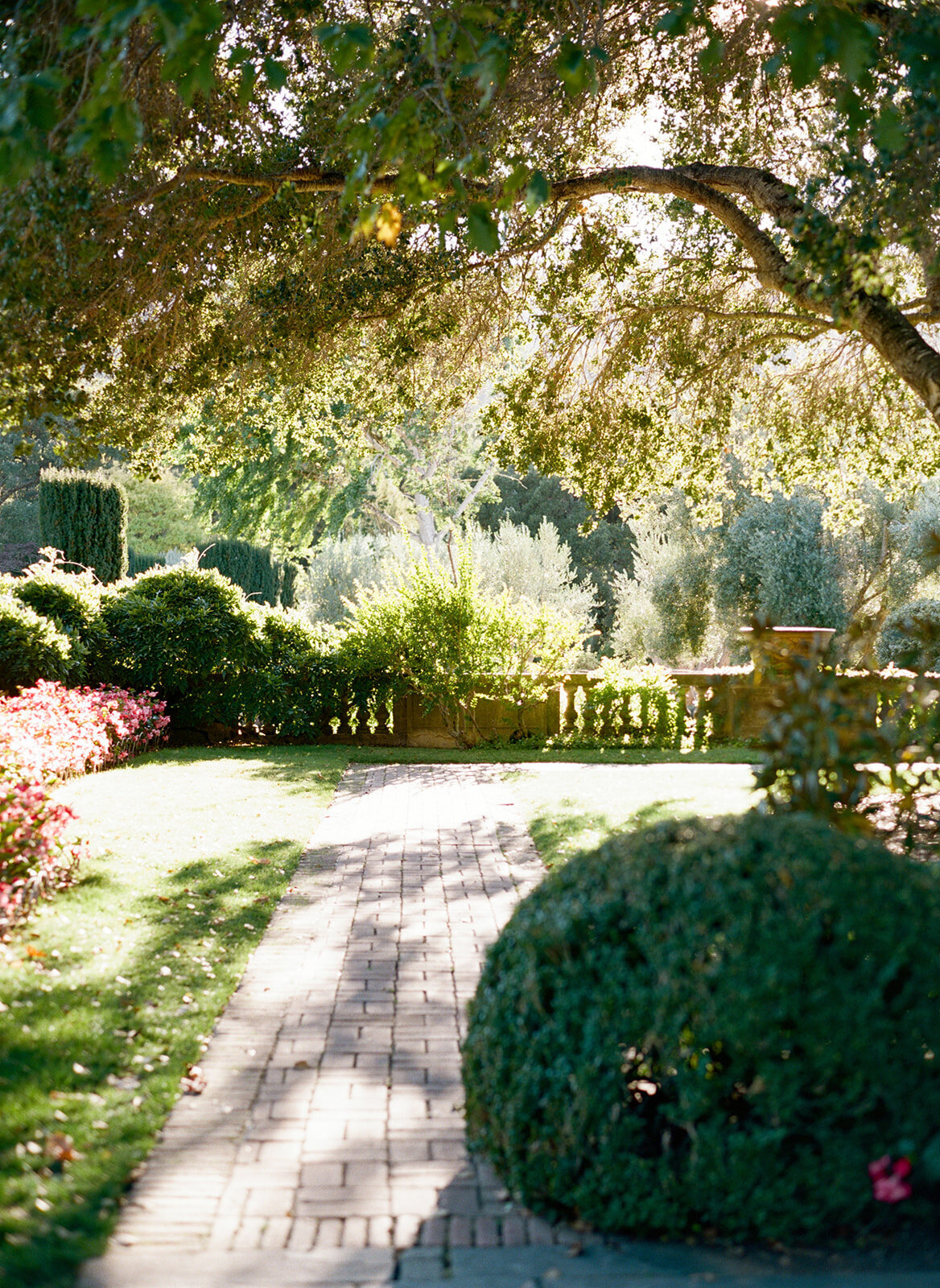 Filoli-Garden-Wedding-5