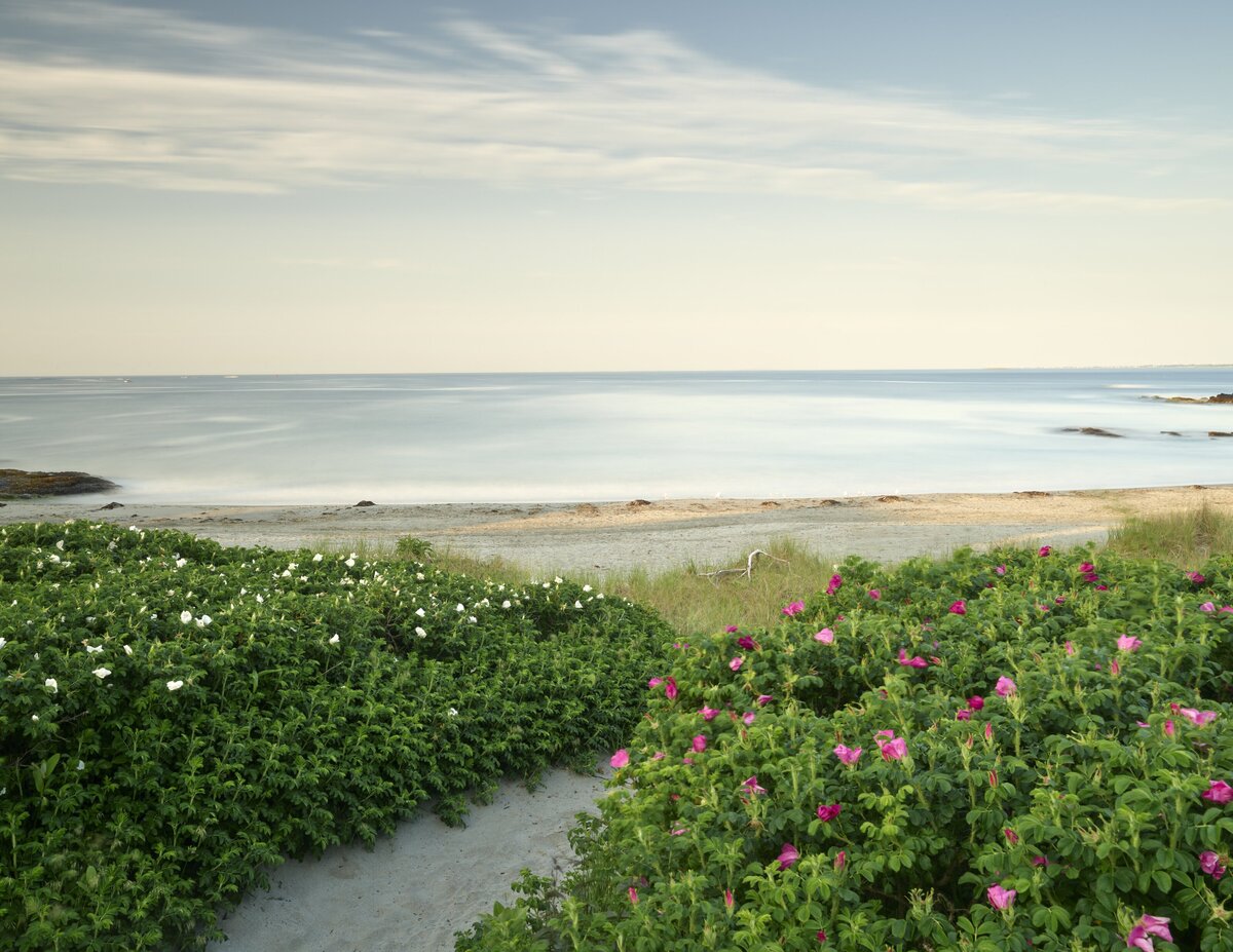Salty-Blooms-Secret-Beach-Landscape-Fine-Art
