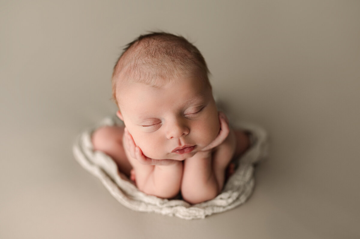 Newborn session posed safely in studio swanton ohio